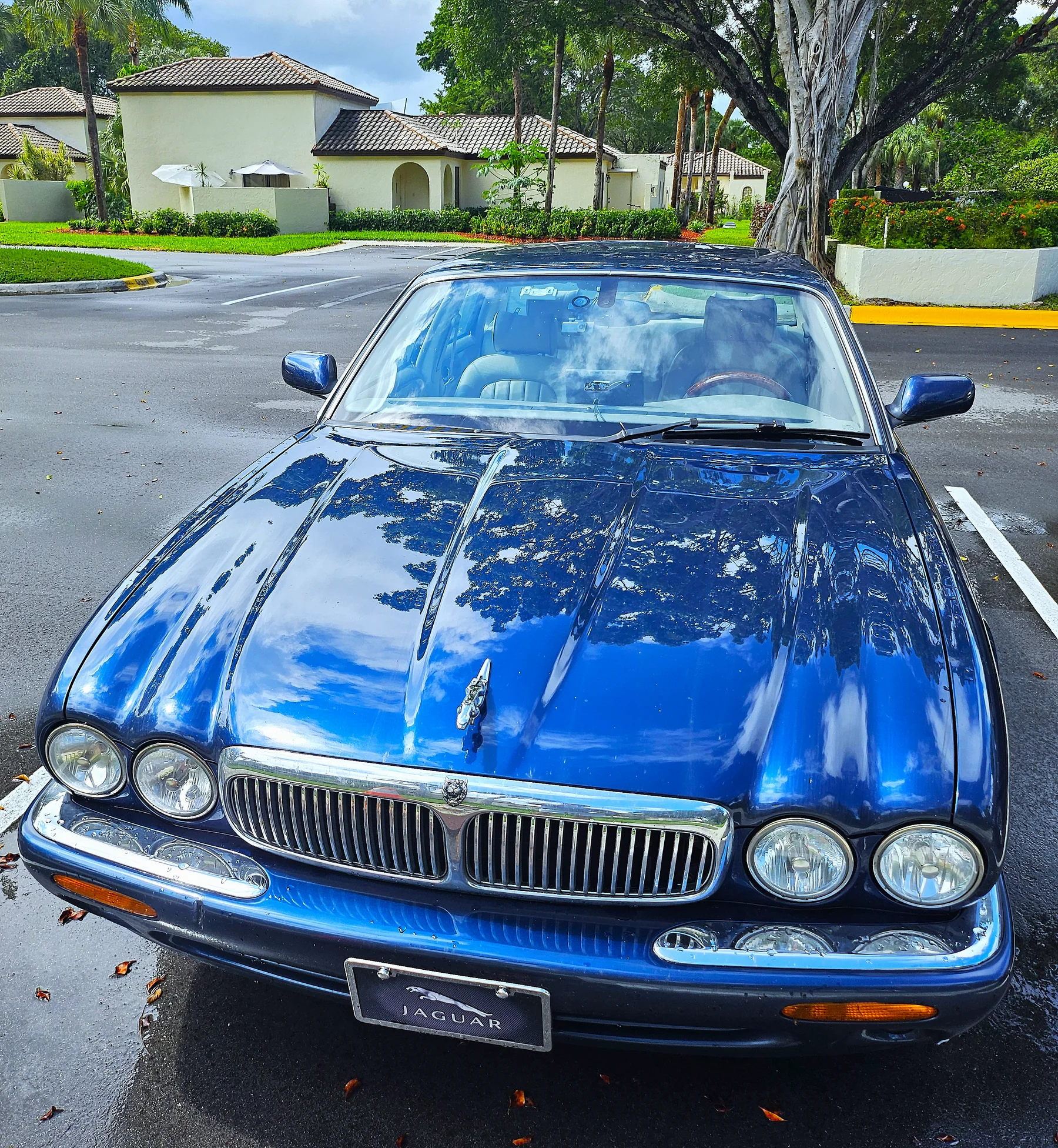 Sapphire Blue Jaguar X308 shortly after acquisition