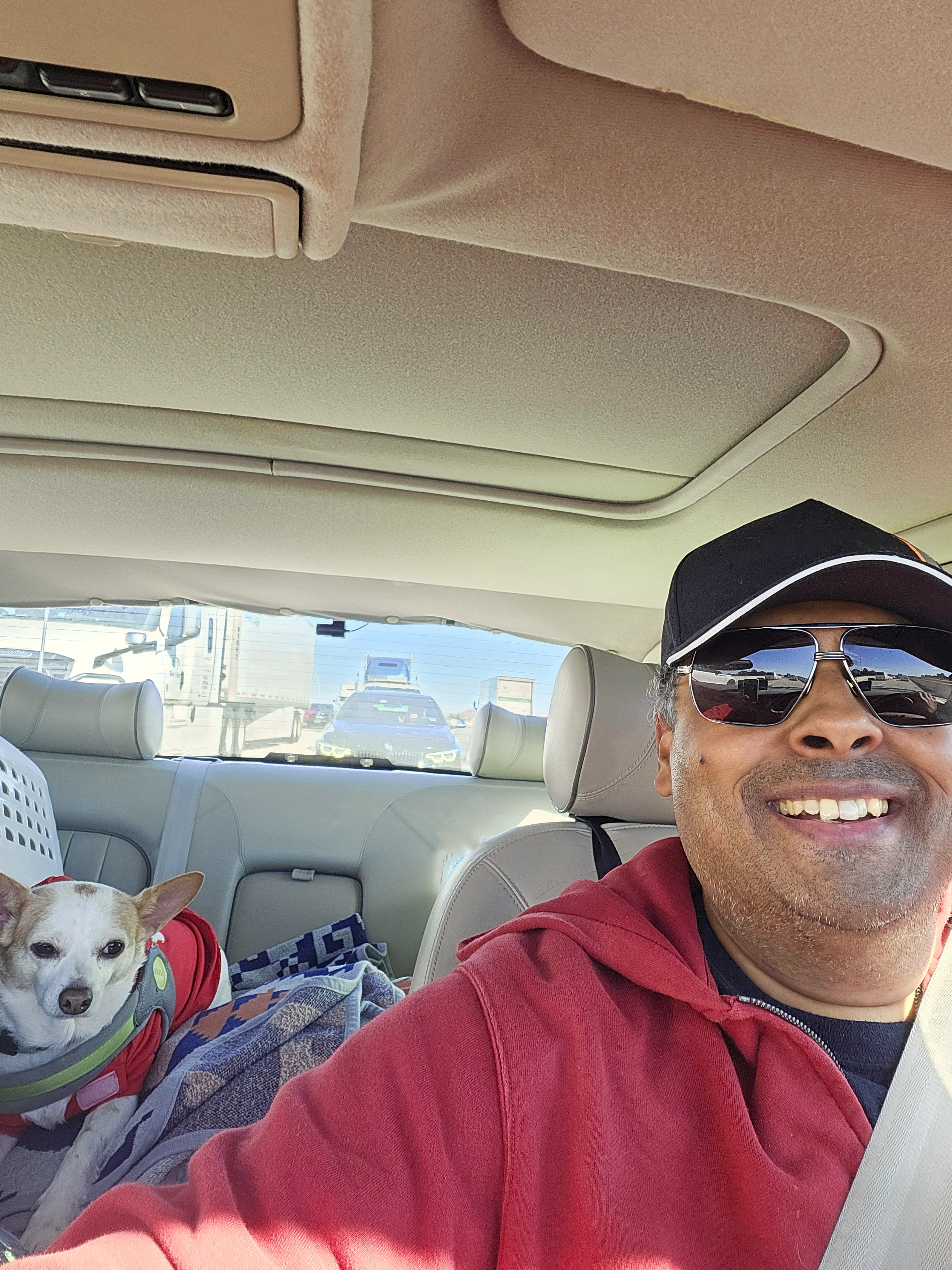 Road-trip selfie with Milo inside the Jaguar X308